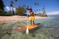 Fanatic Bamboo Carbon 50 SUP Paddel 7.25" Adj. 3-teilig