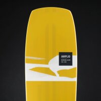 Amplid Morning Glory