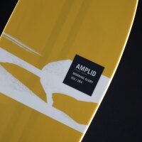 Amplid Morning Glory