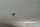 Ozone Torque V3 Kiteboard 138 x 42cm gr&uuml;n Bindung Gr&ouml;sse S