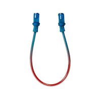 Severne Fixed Harness Lines 2025