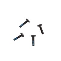 North Shiftlock Replacement Screws 2024