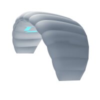 Duotone Kite Trainer Lizard 2025